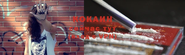 стафф Володарск
