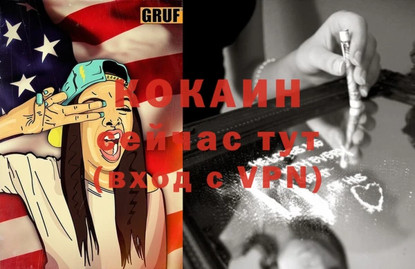 сатива Вязьма