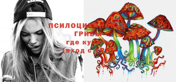 сатива Вязьма