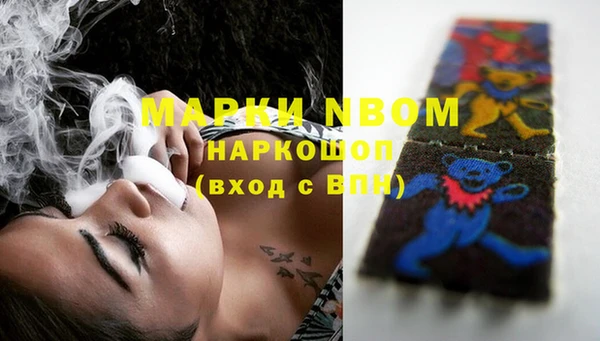 сатива Вязьма