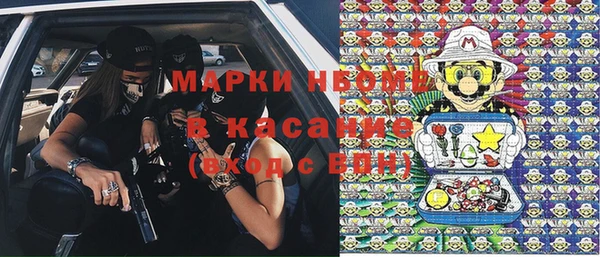 сатива Вязьма