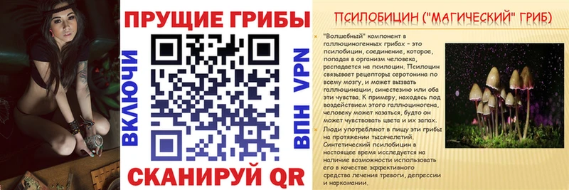 сколько стоит  Далматово  Галлюциногенные грибы GOLDEN TEACHER 